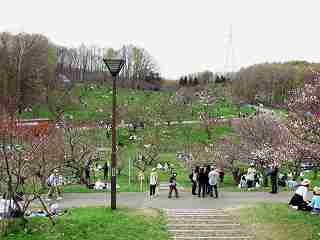 平岡公園