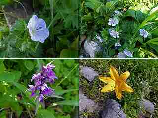 ニセコアンヌプリ